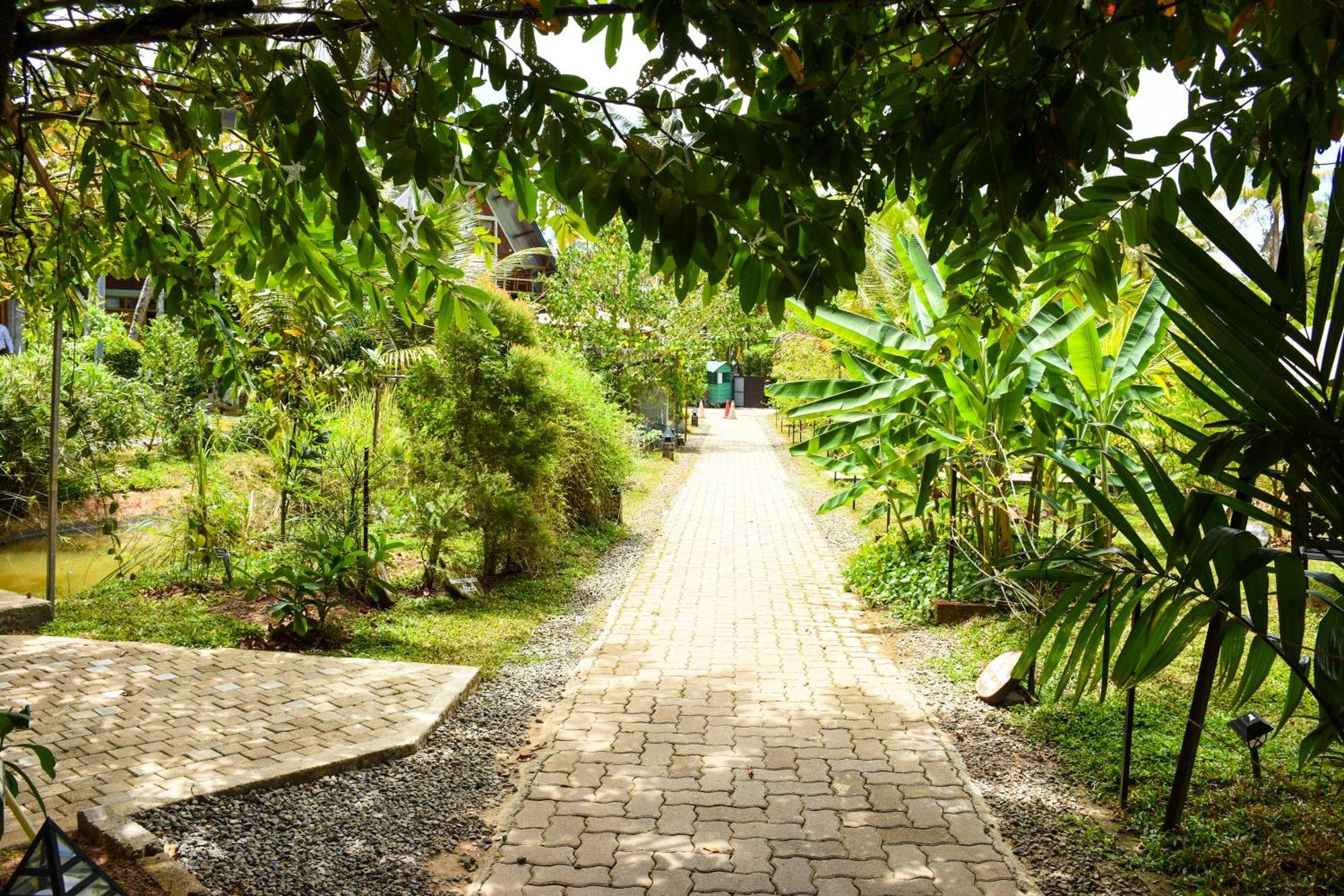Steps Garden Resort Negombo Exterior foto